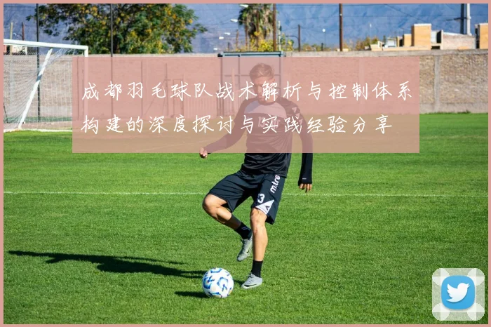 成都羽毛球队战术解析与控制体系构建的深度探讨与实践经验分享